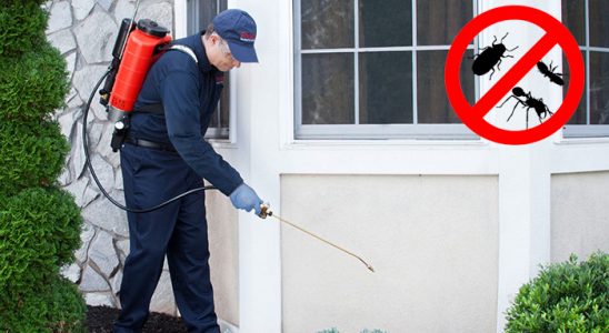 Polatlı Hamam Böceği İlaçlama böcek ilaçlama ve haşere kontrolü — ilaclama-tr.com